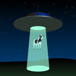 a flying saucer abducting a cow